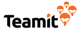 teamit logo